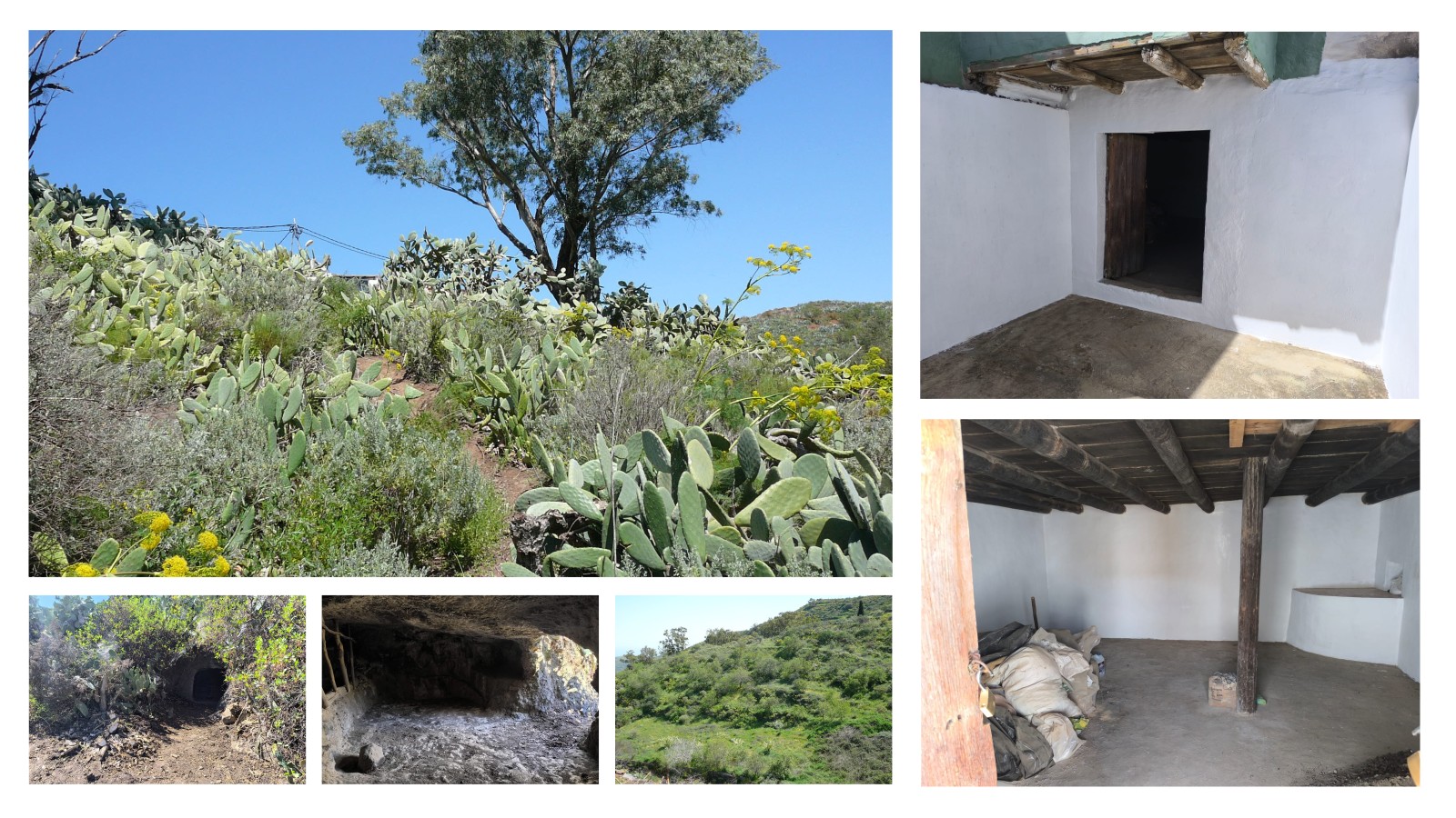 Terreno rústico en venta con cuarto y cueva en San Mateo