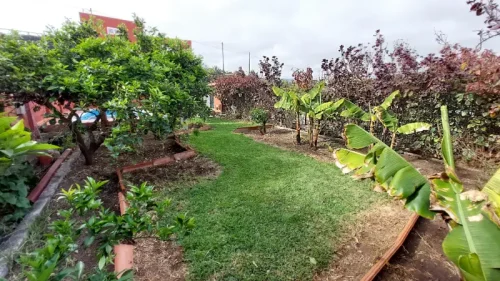 Casa terrera en venta en Telde con terreno piscina y garaje