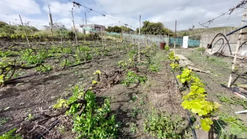 Casa terrera en venta en Telde con terreno piscina y garaje