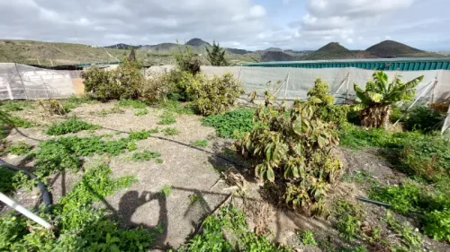 Casa terrera en venta en Telde con terreno piscina y garaje