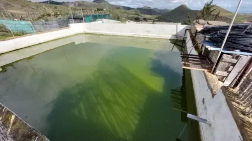 Casa terrera en venta en Telde con terreno piscina y garaje