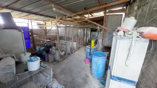 Casa terrera en venta en Telde con terreno piscina y garaje