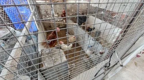 Casa terrera en venta en Telde con terreno piscina y garaje