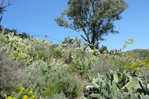 Terreno rústico en venta con cuarto y cueva en San Mateo