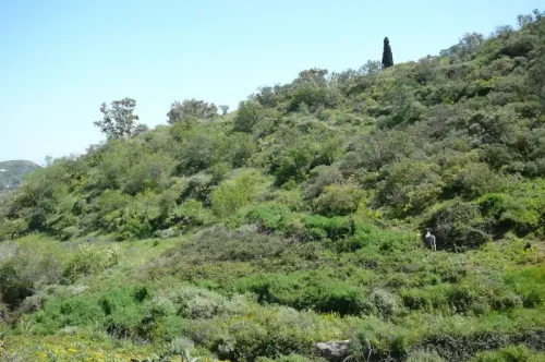 Terreno rústico en venta con cuarto y cueva en San Mateo