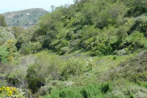 Terreno rústico en venta con cuarto y cueva en San Mateo