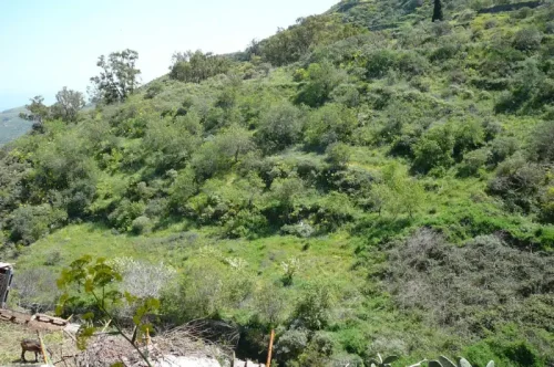 Terreno rústico en venta con cuarto y cueva en San Mateo
