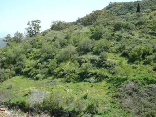 Terreno rústico en venta con cuarto y cueva en San Mateo
