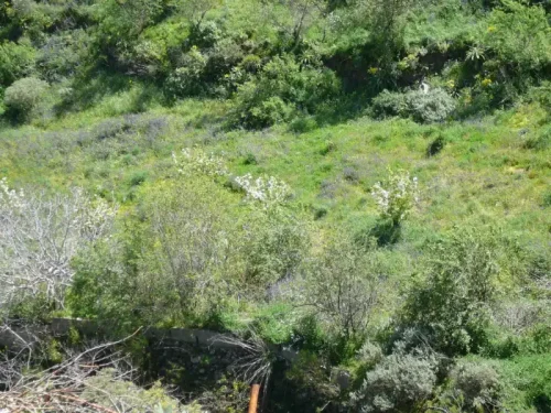 Terreno rústico en venta con cuarto y cueva en San Mateo