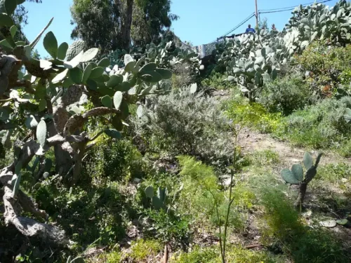 Terreno rústico en venta con cuarto y cueva en San Mateo