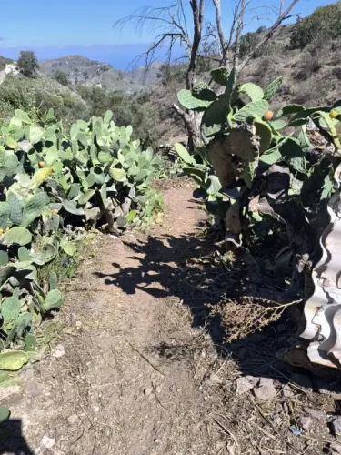 Terreno rústico en venta con cuarto y cueva en San Mateo