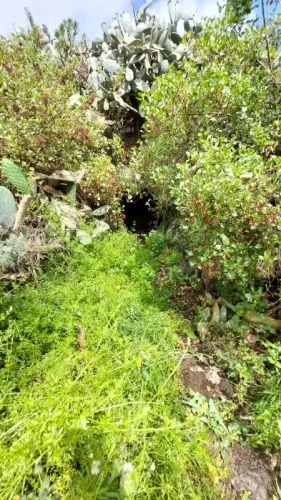 Terreno rústico en venta con cuarto y cueva en San Mateo