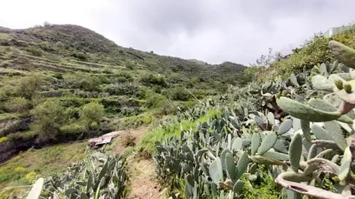Terreno rústico en venta con cuarto y cueva en San Mateo