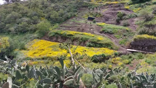 Terreno rústico en venta con cuarto y cueva en San Mateo