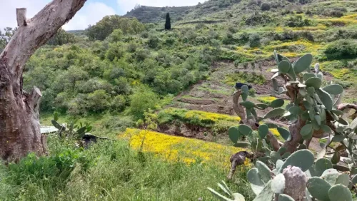 Terreno rústico en venta con cuarto y cueva en San Mateo