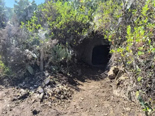 Terreno rústico en venta con cuarto y cueva en San Mateo
