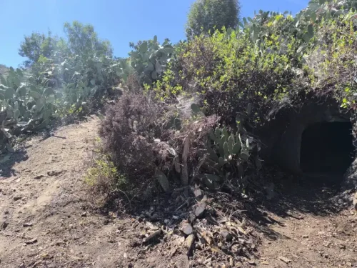 Terreno rústico en venta con cuarto y cueva en San Mateo