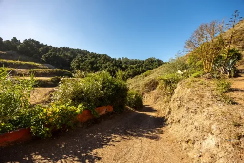 Casa de campo casa con terreno finca rustica venta Gran Canaria oportunidad