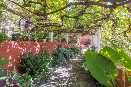 Casa de campo casa con terreno finca rustica venta Gran Canaria oportunidad