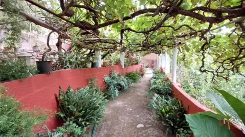 Casa de campo casa con terreno finca rustica venta Gran Canaria oportunidad