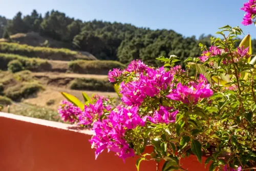 Casa de campo casa con terreno finca rustica venta Gran Canaria oportunidad