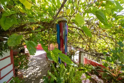 Casa de campo casa con terreno finca rustica venta Gran Canaria oportunidad