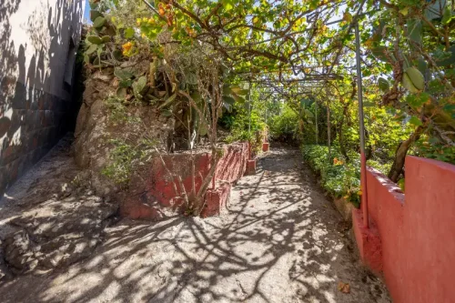 Casa de campo casa con terreno finca rustica venta Gran Canaria oportunidad