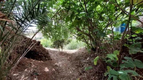 Casa de campo casa con terreno finca rustica venta Gran Canaria oportunidad