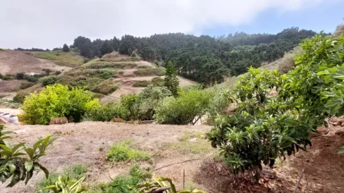Casa de campo casa con terreno finca rustica venta Gran Canaria oportunidad