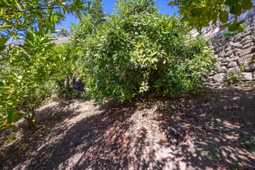 Casa de campo casa con terreno finca rustica venta Gran Canaria oportunidad