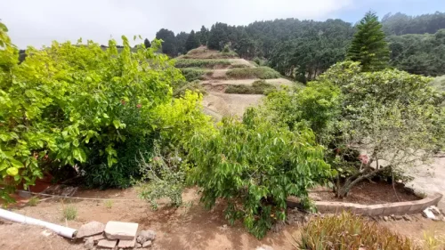 Casa de campo casa con terreno finca rustica venta Gran Canaria oportunidad
