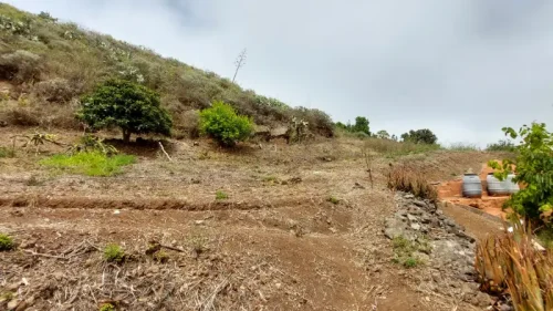 Casa de campo casa con terreno finca rustica venta Gran Canaria oportunidad