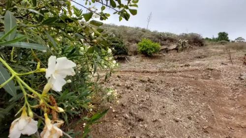 Casa de campo casa con terreno finca rustica venta Gran Canaria oportunidad