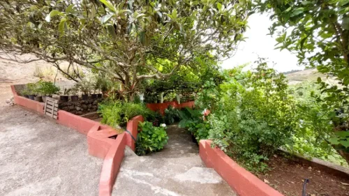 Casa de campo casa con terreno finca rustica venta Gran Canaria oportunidad
