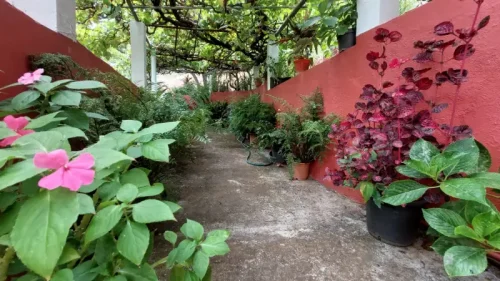 Casa de campo casa con terreno finca rustica venta Gran Canaria oportunidad
