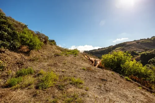 Casa de campo casa con terreno finca rustica venta Gran Canaria oportunidad