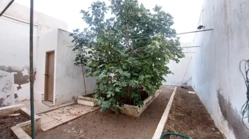Se vende casa terrera con terreno en Carrizal de Ingenio La Capellania